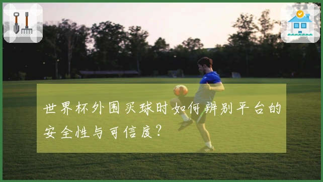 世界杯外围买球时如何辨别平台的安全性与可信度？