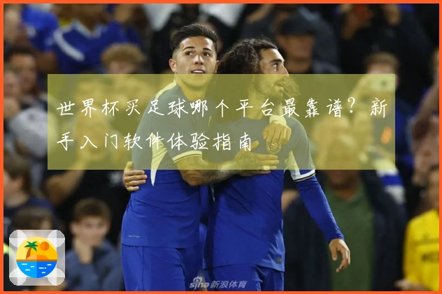 世界杯买足球哪个平台最靠谱？新手入门软件体验指南