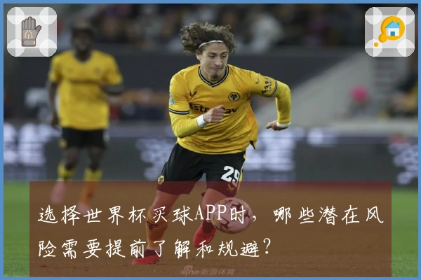 选择世界杯买球APP时,哪些潜在风险需要提前了解和规避?