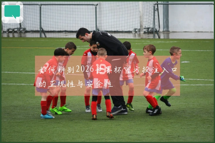 如何辨别2026世界杯官方投注入口的正规性与安全性