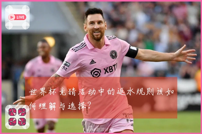 世界杯竞猜活动中的返水规则该如何理解与选择？
