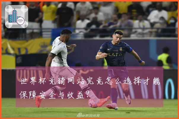 世界杯竞猜网站究竟怎么选择才能保障安全与收益?