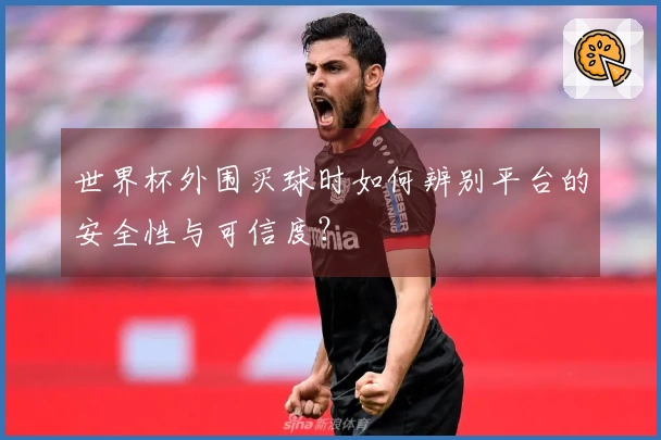 世界杯外围买球时如何辨别平台的安全性与可信度？