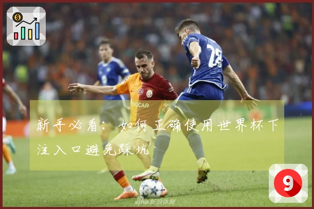 新手必看：如何正确使用世界杯下注入口避免踩坑