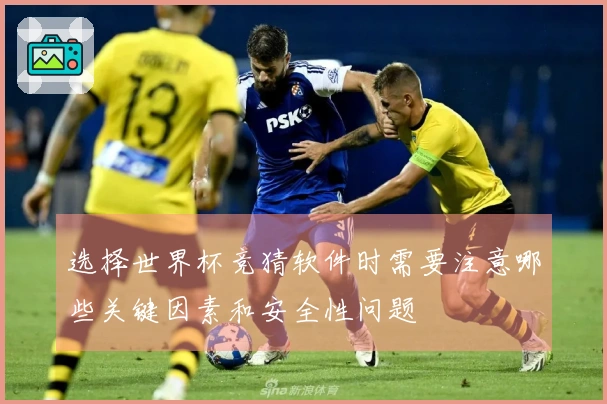 选择世界杯竞猜软件时需要注意哪些关键因素和安全性问题