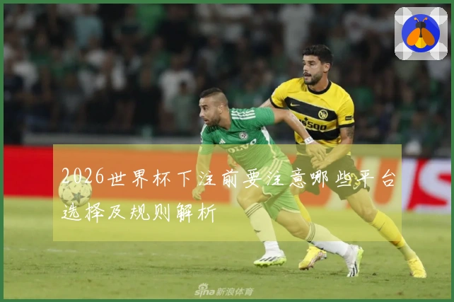 2026世界杯下注前要注意哪些平台选择及规则解析