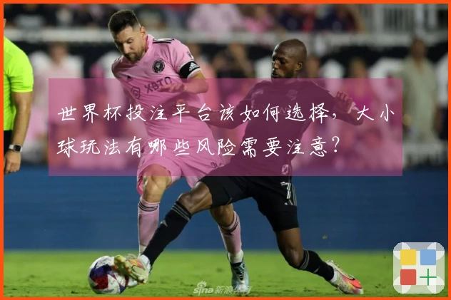 世界杯投注平台该如何选择，大小球玩法有哪些风险需要注意？
