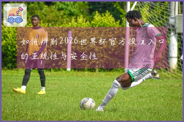 如何辨别2026世界杯官方投注入口的正规性与安全性