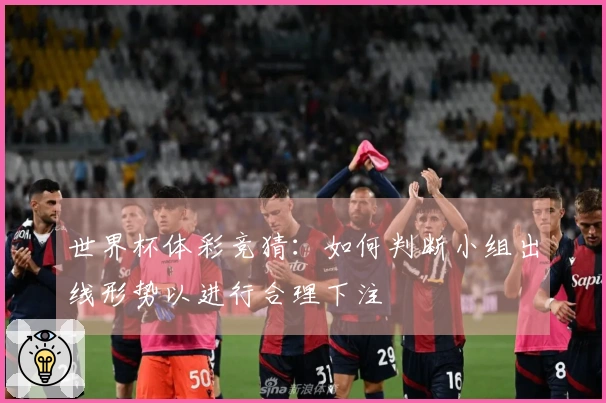 世界杯体彩竞猜：如何判断小组出线形势以进行合理下注