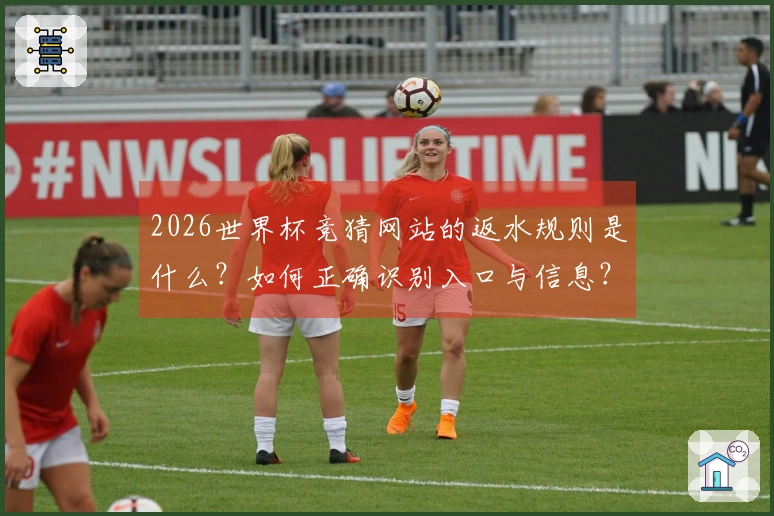 2026世界杯竞猜网站的返水规则是什么？如何正确识别入口与信息？