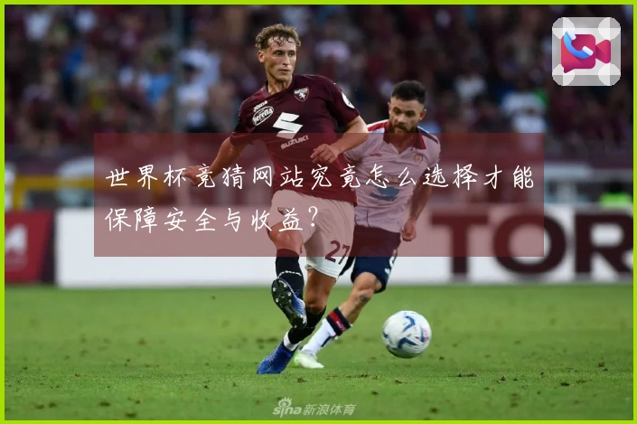 世界杯竞猜网站究竟怎么选择才能保障安全与收益？