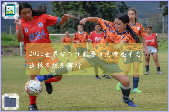 2026世界杯下注前要注意哪些平台选择及规则解析