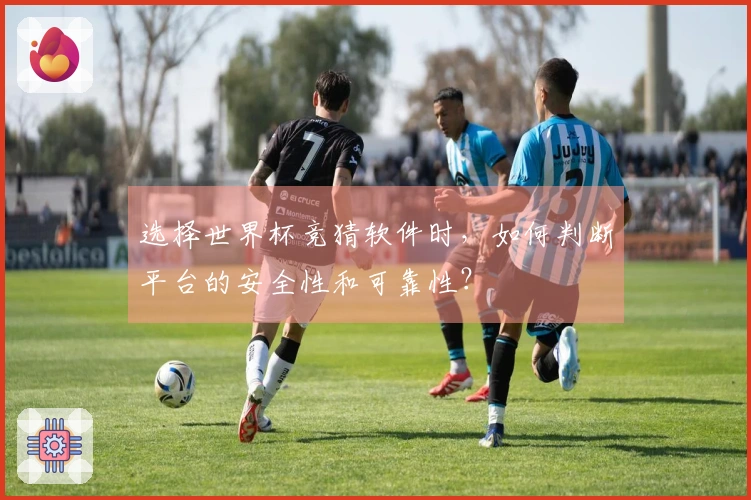 选择世界杯竞猜软件时，如何判断平台的安全性和可靠性？