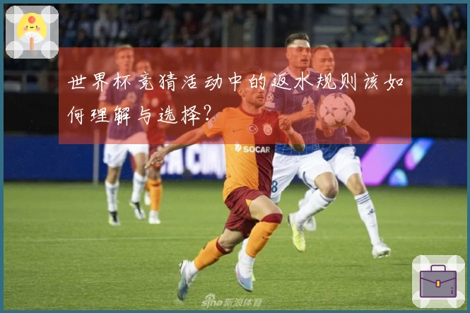 世界杯竞猜活动中的返水规则该如何理解与选择？