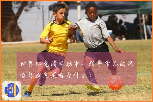 世界杯竞猜活动中,新手常见的风险与避免策略是什么?
