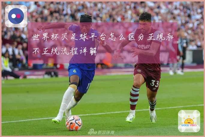 世界杯买足球平台怎么区分正规和不正规流程详解