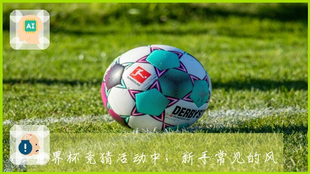 世界杯竞猜活动中，新手常见的风险与避免策略是什么？