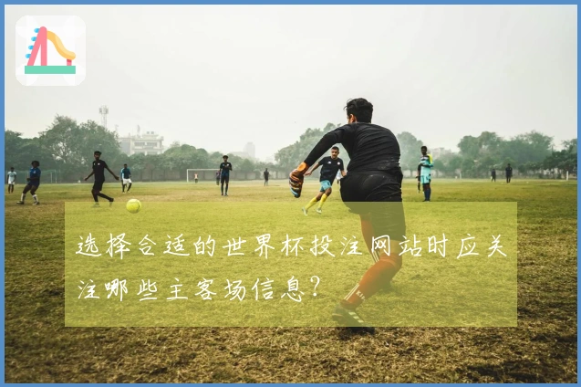 选择合适的世界杯投注网站时应关注哪些主客场信息？